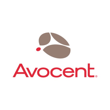Vertiv Avocent SCNT-1YGLD-A-100PK licenza per software/aggiornamento Base 100 licenza/e (SCNT-1YGLD-A-100PK)