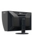 EIZO ColorEdge CG3100X Monitor PC 77,5 cm (30.5") 4096 x 2160 Pixel 4K DCI LCD Nero