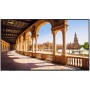 Vestel PF43D-2H 109,2 cm (43") LED Wi-Fi 500 cd/m² 4K Ultra HD Processore integrato Android 16/7