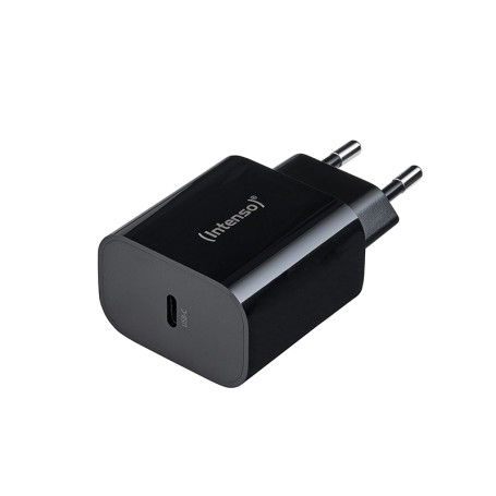 Intenso 7802010 adattatore e invertitore Interno 20 W Nero