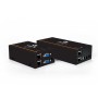 Vertiv Avocent LongView, VGA doppia, USB, audio, CATx 300M, UK (LV3020P-201)