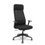 PRO536 RETE NE/TESS NE/BR+PTEST FIS (536B00SWRN)