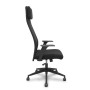 PRO536 RETE NE/TESS NE/BR+PTEST FIS (536B00SWRN)