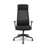 PRO536 RETE NE/TESS NE/BR+PTEST FIS (536B00SWRN)