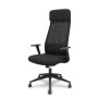 PRO536 RETE NE/TESS NE/BR+PTEST FIS (536B00SWRN)