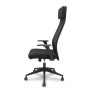 PRO536 RETE NE/TESS NE/BR+PTEST FIS (536B00SWRN)