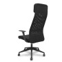 PRO536 RETE NE/TESS NE/BR+PTEST FIS (536B00SWRN)