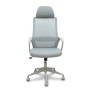 PRO534 RETE NE/TES NE/BR FIS/PT REG (534BGY00053PGRN)
