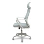 PRO534 RETE NE/TES NE/BR FIS/PT REG (534BGY00053PGRN)