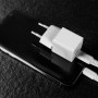 Lindy 73410 Caricabatterie per dispositivi mobili Smartphone Bianco AC Interno (LINDY73410)