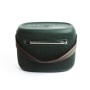 Pure 251891 radio Portatile Verde