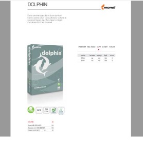 DOLPHIN/A4-CF300RISME- 80GR (DOLPHIN/A4BANC)