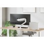 Neomounts NSLS300SILVER Supporto per laptop 11-17" - universale