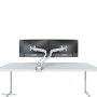 Neomounts Supporto da scrivania per monitor (FPMA-D750DSILVER)