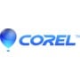 Corel LCTTMLMNA12 licenza per software/aggiornamento 1 licenza/e 1 anno/i (LCTTMLMNA12)