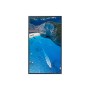 Samsung LH75OMAEBGB Pannello piatto per segnaletica digitale 190,5 cm (75") Wi-Fi 4K Ultra HD Nero Tizen 5.0 (LH75OMAEBGBXEN)