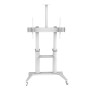 PureLink PDS-0013C Supporto TV a parete 2,29 m (90") Bianco (PDS-0013C)