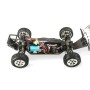 Amewi Dune Breaker Pro Motore elettrico 1:10 Buggy (22316)