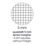 EXPO QUAD.SPIR.MEOW A5 80GR R.5MM (0123410)