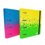 RACCOGLITORE FLOR + RIC+BUSTA+5 DIV (0123860)