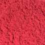 Kinetic Sand - Beutel rot (907 Gramm Sand) (6070101)
