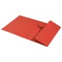 Leitz 39060025 cartella Cartoncino Rosso A4 (39060025)