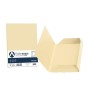 CF25 CARTELLINE CAMOSCIO CM 25X35 (A50R434)