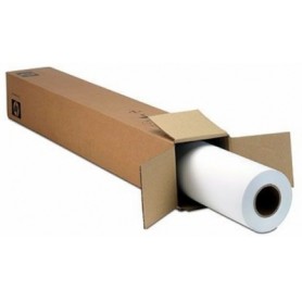 Epson Premium SemiGloss Photo Paper(170), in rotoli da 152, 4cm x 30, 5m (C13S042137)