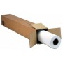 Epson Premium SemiGloss Photo Paper(170), in rotoli da 152, 4cm x 30, 5m (C13S042137)