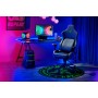 Razer Floor Rug (RC81-03920200-R3M1)