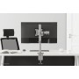 Neomounts by Newstar Select Supporto da scrivania per monitor (NM-D135SILVER)