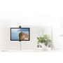 Neomounts by Newstar Supporto da scrivania per monitor (FPMA-CH100BLACK)