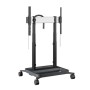 SOLLEVATORE MOTORIZZATO RISE 5305 (RISE5305B)