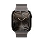 Apple Bracciale a maglie ardesia (46 mm) (MXMK3ZM/A)
