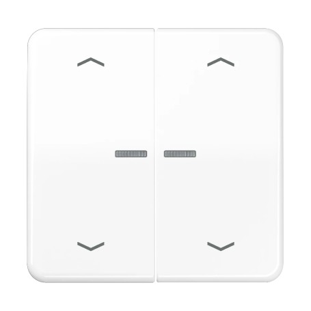 JUNG BTCD17102PWW interruttore della luce Duroplast Bianco