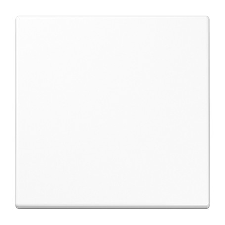 JUNG BLELS990WW interruttore della luce Plastica