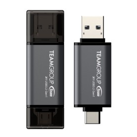 X1 256 GB (TX13256GC01)