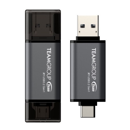 X1 256 GB (TX13256GC01)