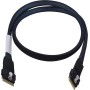 Microchip Technology ACK-I-SlimSASx8-SlimSASx8-0.8M 0,8 m Nero (2305000-R)