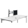 Novus TSS Basic Scrivania Argento (220+0050+000)