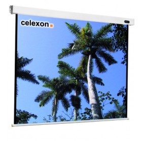 Celexon 1090088 schermo per proiettore 1:1 (1090088)