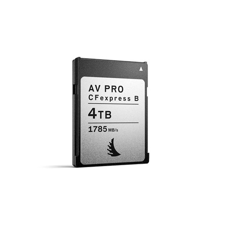 Angelbird Technologies AV PRO CFexpress MK2 Type B 4,1 TB (AVP4T0CFXBMK2)