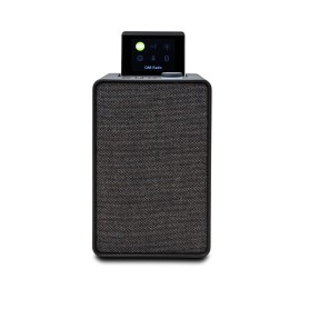 Pure 00-12110-01 altoparlante portatile Altoparlante portatile mono Nero 20 W