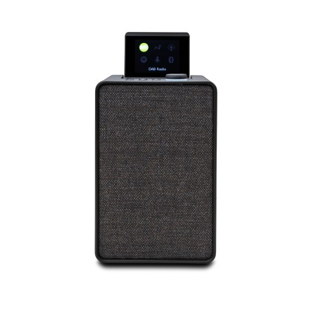 Pure 00-12110-01 altoparlante portatile Altoparlante portatile mono Nero 20 W