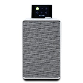 Pure 00-12110-00 altoparlante portatile Altoparlante portatile mono Grigio, Bianco 20 W