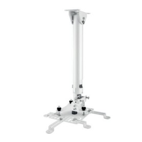 Hagor HA BDH supporto per proiettore Soffitto Acciaio inossidabile (5806)