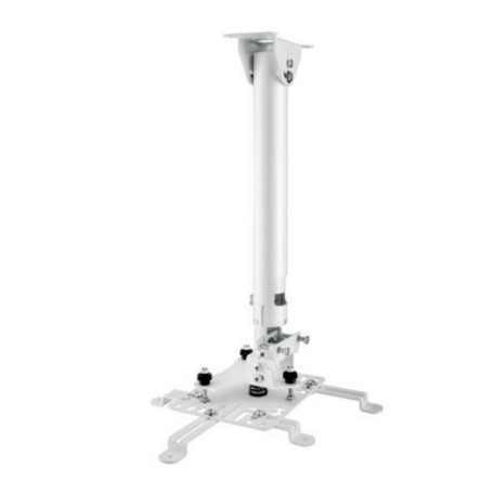 Hagor HA BDH supporto per proiettore Soffitto Acciaio inossidabile (5806)