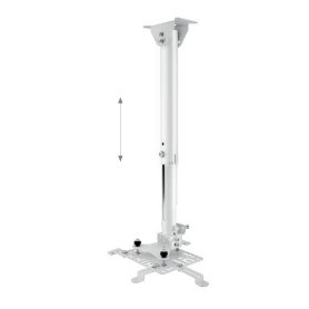 Hagor HA BDH supporto per proiettore Soffitto Acciaio inossidabile (5807)