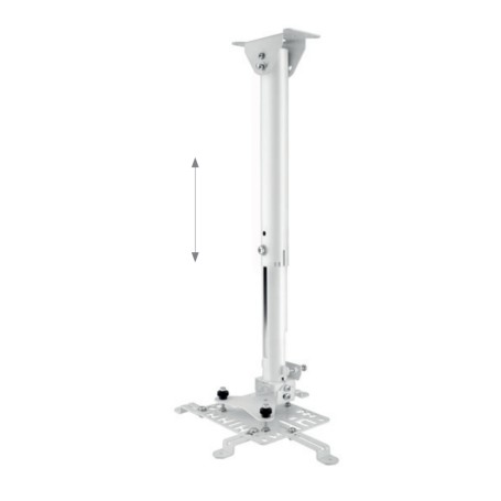Hagor HA BDH supporto per proiettore Soffitto Acciaio inossidabile (5807)