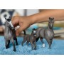 schleich HORSE CLUB 13955 action figure giocattolo (13955)